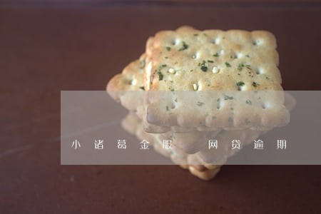 小诸葛金服 网贷逾期 小诸葛金服 网贷逾期